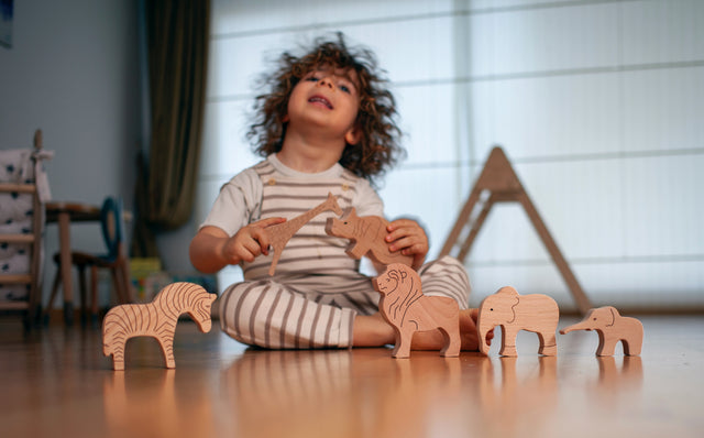 What are Montessori Toys – 5 Traits That You Must Look into!