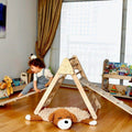 2-in-1 Sliding/Climbing Ramp attached to the Triangle Climber - Kidodido