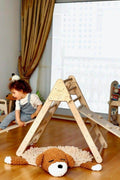 2-in-1 Sliding/Climbing Ramp attached to the Triangle Climber - Kidodido