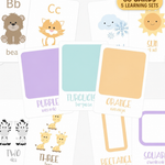 66-Piece Toddler Flash Card Bundle | ABC, Numbers, Colors, Shapes & Weather