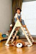 Enhances Motor Skills and Coordination - Climbing Triangle Set