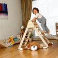 Perfect Gift for Toddlers - Climbing Triangle with Ramp