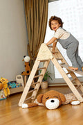 Perfect Gift for Toddlers - Climbing Triangle with Ramp